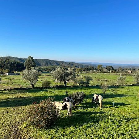 Quinta Da Barroca Do Cabo Bed and Breakfast Ázere Eksteriør billede