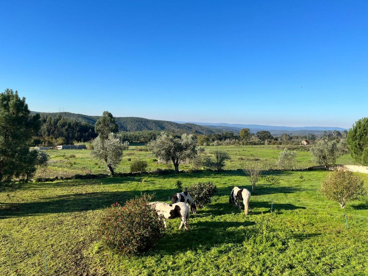 Quinta Da Barroca Do Cabo Bed and Breakfast Ázere Eksteriør billede